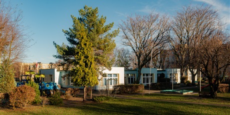 Powiększ grafikę: Galeria